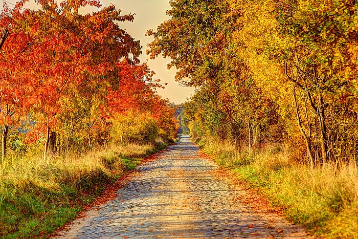 Altmark Sachsen-Anhalt