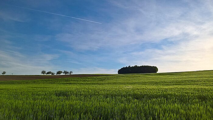 Westerwald