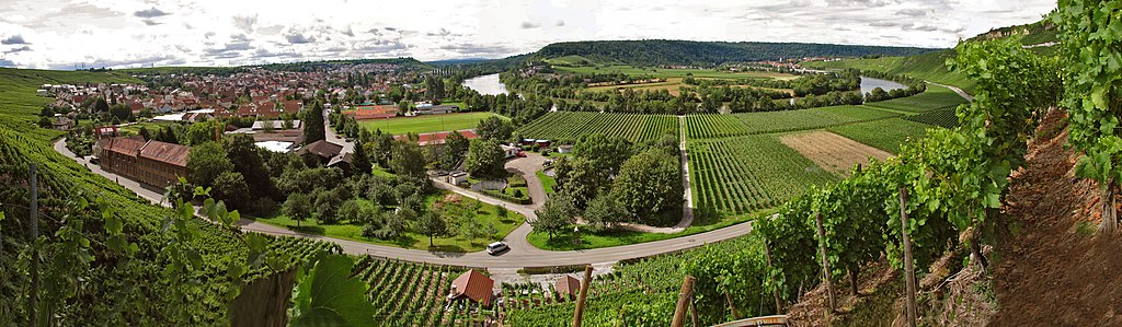 Neckarschleife Mundelsheim